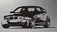 The preservation of the species aka The M3 CSL 'Delimiteds'